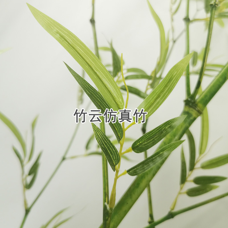 仿真植物 仿真植物